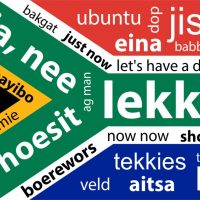 How many languages are there in South Africa?